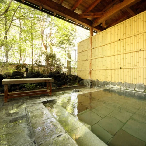 Kusatsu Onsen Yutori no Sato Ryokufu-tei - Gunma