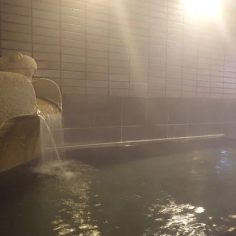 片品温泉　旅館　美里 - 群馬県