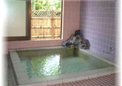 湯の小屋温泉 ペンション トップス - 群馬県