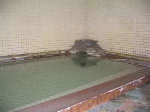 Kusatsu Onsen Suehiroya Ryokan - Gunma