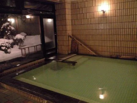 昔心の宿 金みどり