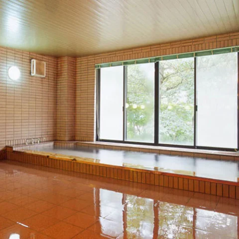 尾瀬戸倉温泉　旅館　みゆき - 群馬県