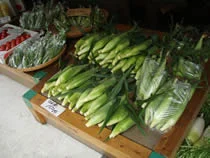 水芭蕉 わたすげのゆ（閉館しました）