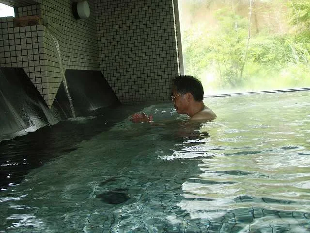 水芭蕉 わたすげのゆ（閉館しました）