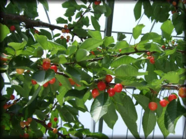 塩河原温泉 渓山荘(閉館しました)