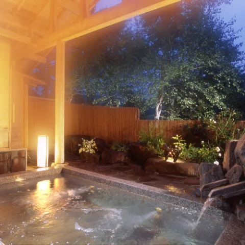 Minakami Onsen Pension Asanebou - Gunma
