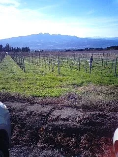 きぼうの湯【閉館しました】