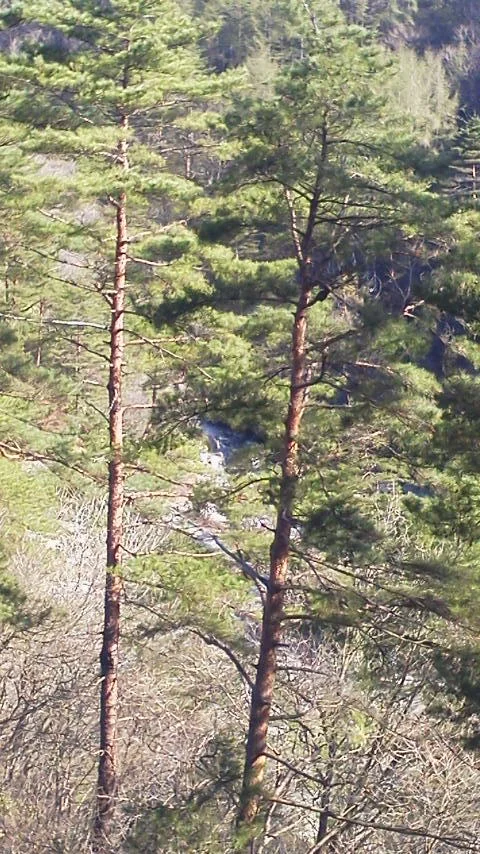 西の河原露天風呂