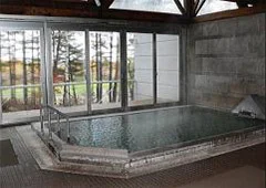 Kusatsu Onsen Kusatsu Green Park Palace - Gunma