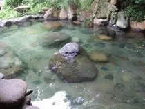 湯の平温泉 松泉閣（閉館しました）