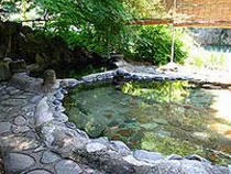 湯の平温泉 松泉閣（閉館しました）