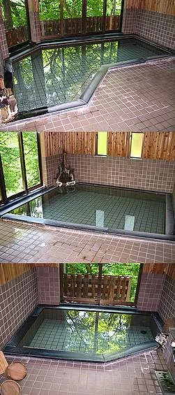 湯の平温泉 松泉閣（閉館しました）