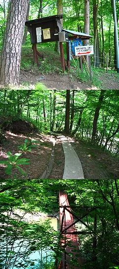 湯の平温泉 松泉閣（閉館しました）