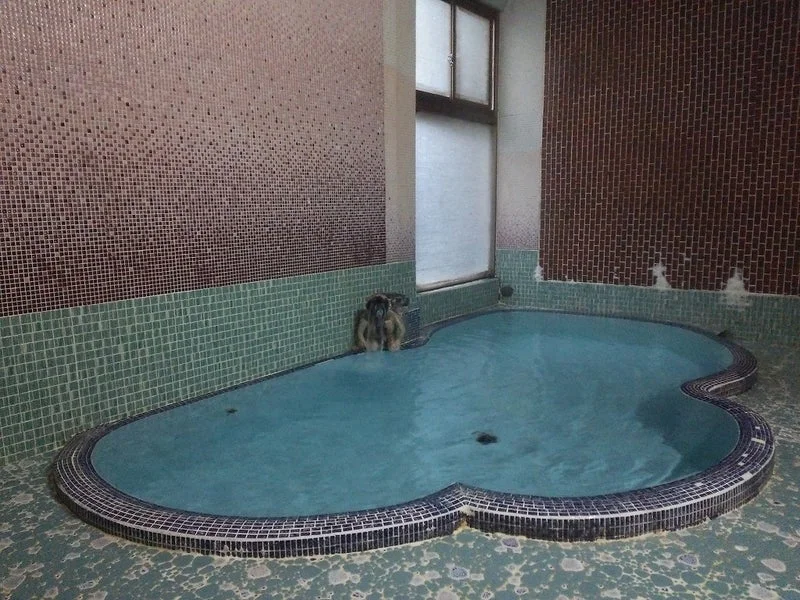 水上温泉　旅館　天野屋