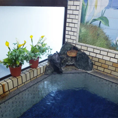 尾瀬戸倉温泉　旅館　山びこ - 群馬県