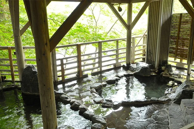 坐山 みなかみ（旧 水上館）