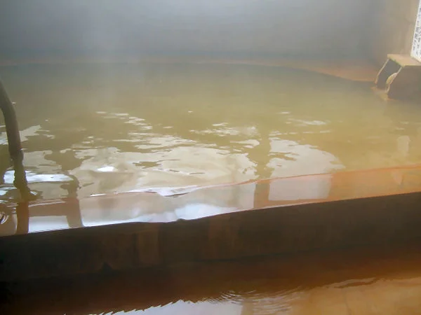 伊香保温泉 青山旅館(閉館しました)