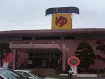 ホテル水戸ラドン温泉（閉館しました）