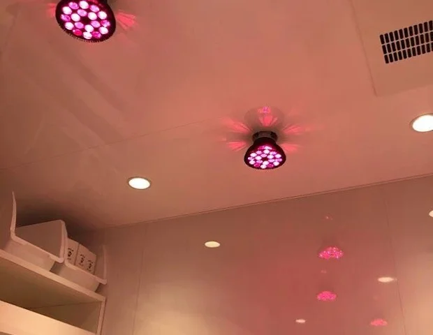 わたしのセルフボックス フレスポ赤塚店