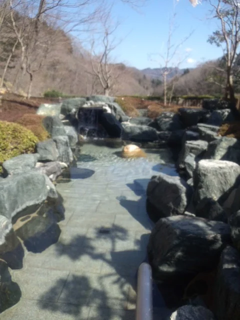 大子温泉保養センター 森林の温泉