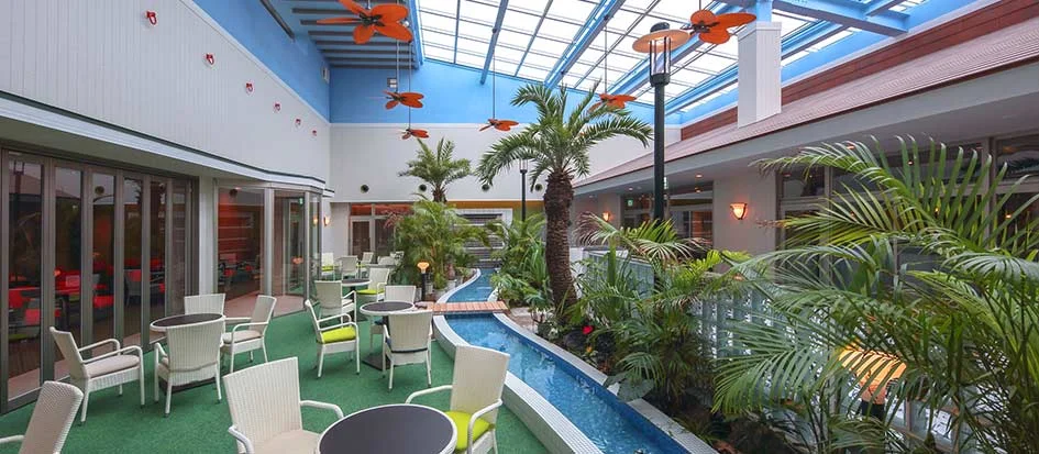 トップメイン画像5