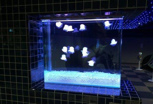 フォトアルバム25