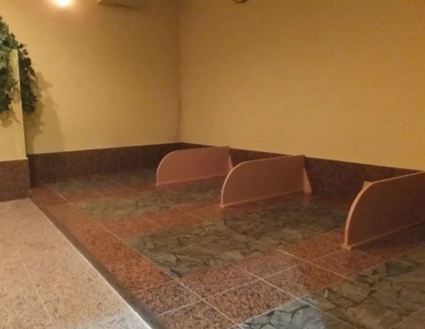 Kihoseki Bedrock Bath Shizuka Kaminomiya - Ibaraki