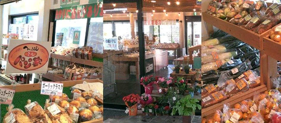 トップメイン画像5