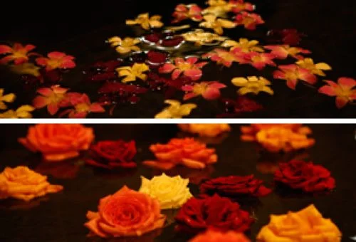 フォトアルバム9