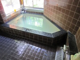 横川温泉 湯本巴屋旅館