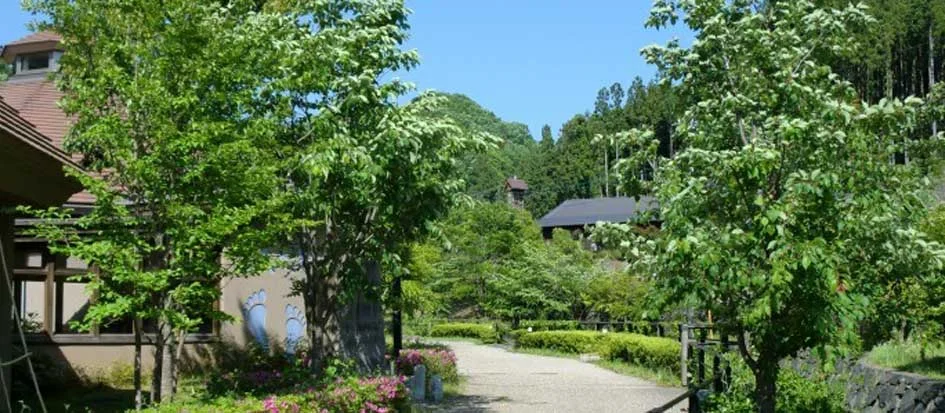 トップメイン画像3