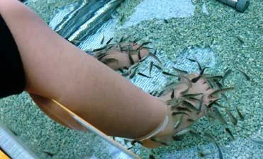 リラクゼーション・岩盤浴1