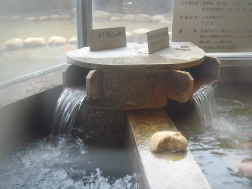 長野裾花峡温泉 元湯 うるおい館