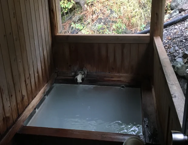 乗鞍高原温泉 せせらぎの湯（のりくらこうげんおんせん）