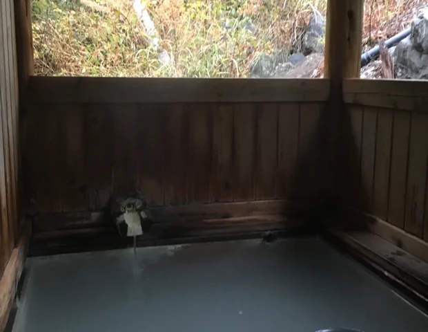 乗鞍高原温泉 せせらぎの湯（のりくらこうげんおんせん）