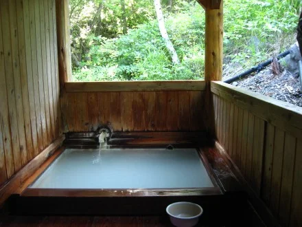 乗鞍高原温泉 せせらぎの湯(のりくらこうげんおんせん)