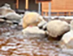 極楽湯 札幌美しが丘店(閉館しました)