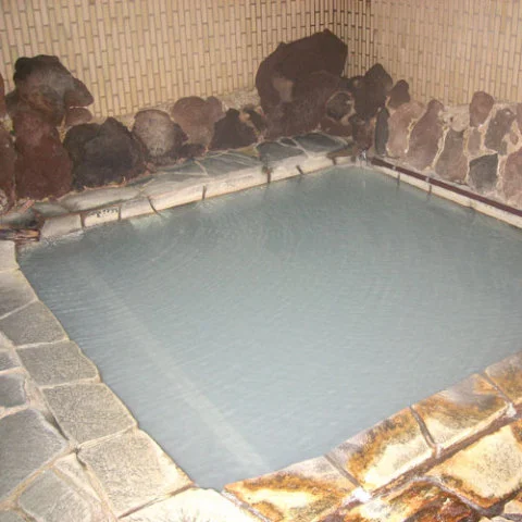 志賀山温泉 アスペン志賀 - 長野県