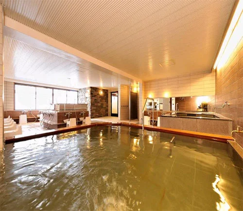 Takamine Onsen Shiga Park Hotel - Nagano