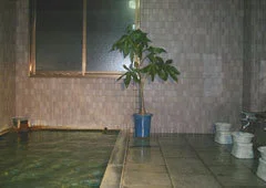 よませ温泉　リゾートイン・ケルン - 長野県