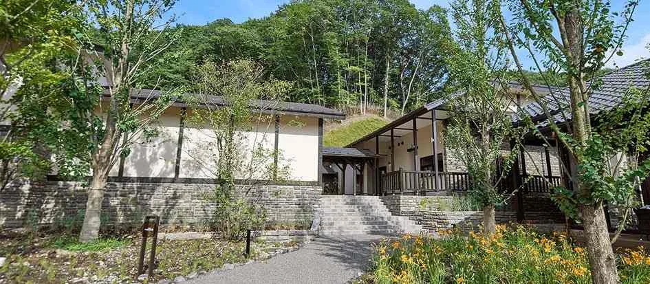 トップメイン画像5