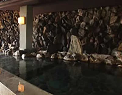 一茶のこみち 美湯の宿（旧　美湯の宿湯田中ビューホテル）
