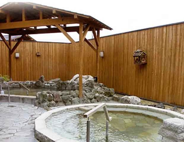 湯元ホテル山水 美肌の湯