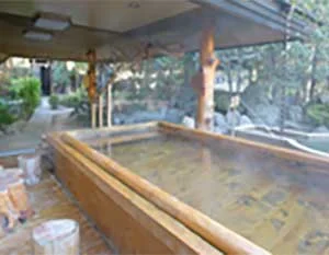 湯多利の里 伊那華