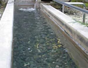 湯多利の里 伊那華