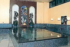 幕岩温泉 ビワ池ホテル - 長野県