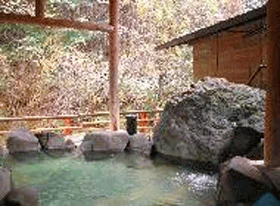 旅館 鳥屋沢 - 長野県