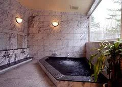 Hakuba Symphony Natural Hot Spring with Flowing Source - Nagano