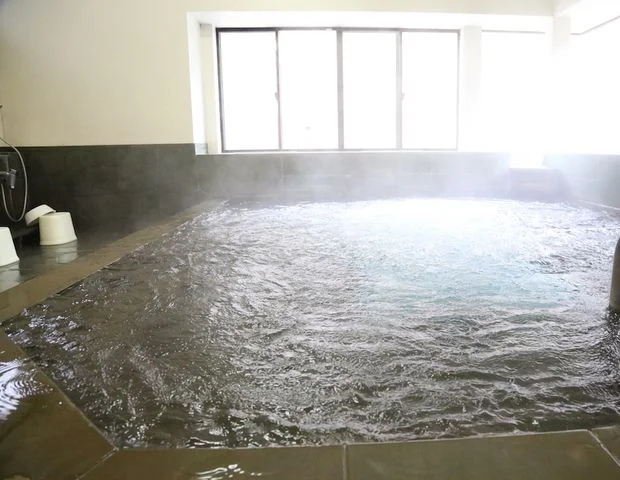 竜島温泉 せせらぎの湯