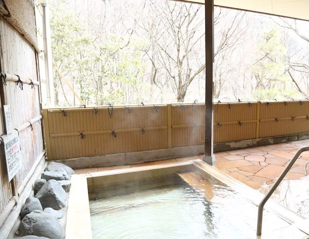 竜島温泉 せせらぎの湯
